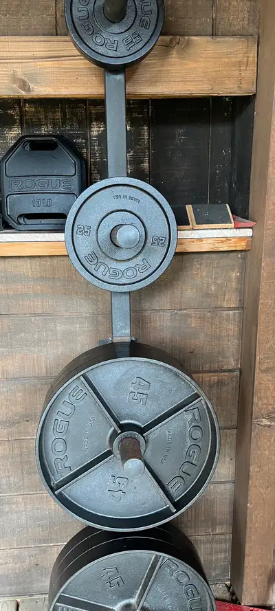 ROGUE deep dish waight plates , View more