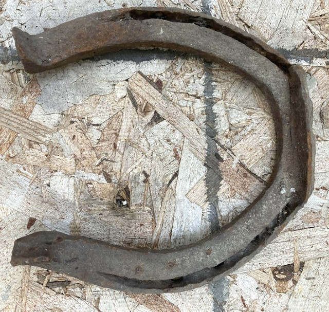 Horse Shoes in Other in Regina - Image 2