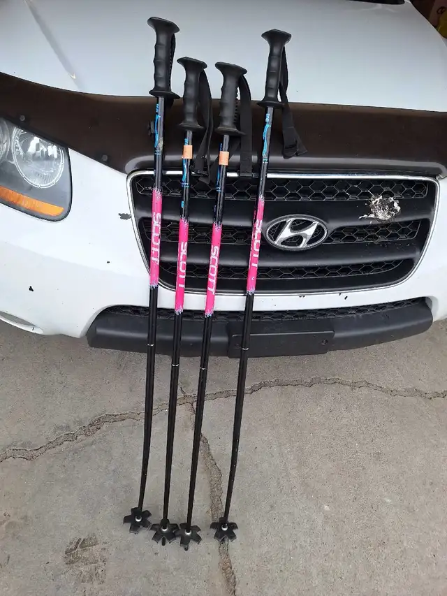 Scott Ski Poles