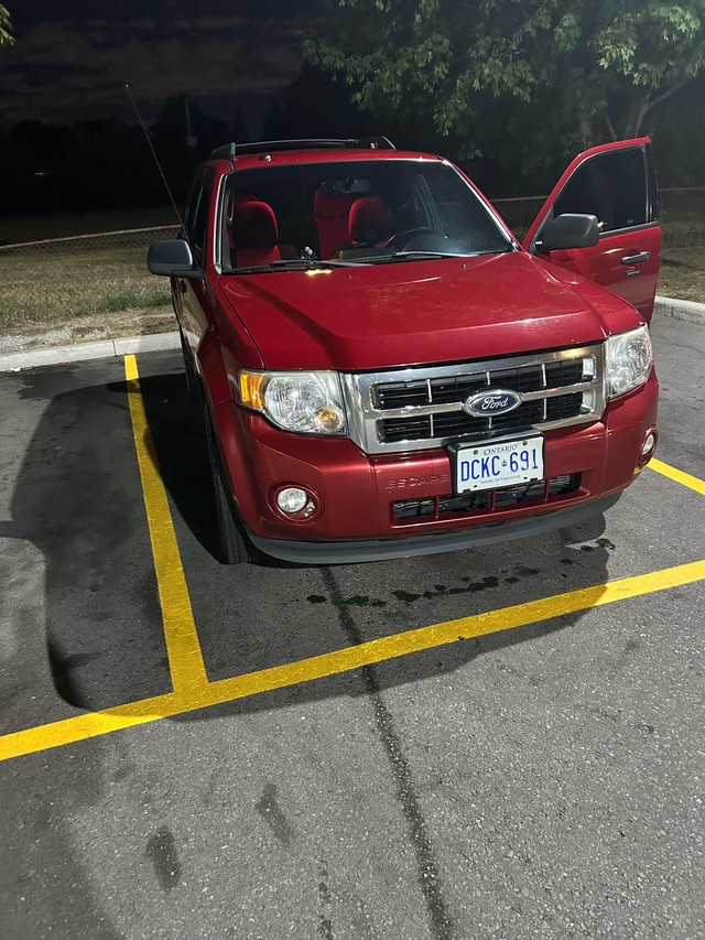 ford escape 2010 for sale in Cars & Trucks in Mississauga / Peel Region - Image 2