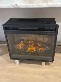  Infrared fireplace insert  w/ remote (BASICALLY NEW)