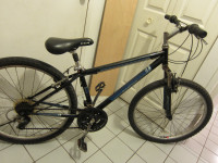 Small frame 21 speed Diamondback Wildwood Citi bike, with bonus