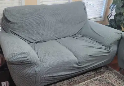Comfortable and compact 2-seater couch, ideal for small spaces like apartments, offices, or reading...