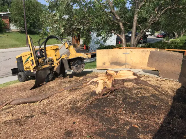 Stump Grinding Service for Calgary and Area62864357975810123