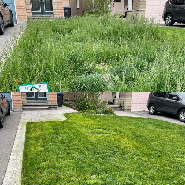 Lawn Maintenance/ Grass Cutting starting as low as $35 weekly in Lawn, Tree Maintenance & Eavestrough in Oshawa / Durham Region - Image 3