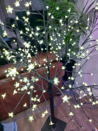 Christmas "Tree" (lit)