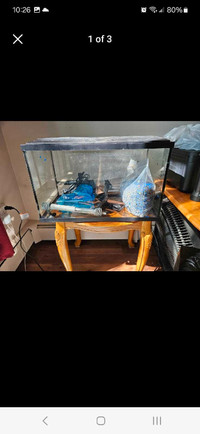 10 gal fish tank for sale 