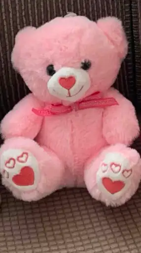 Personalized Plushies for you! $10 each in Holiday, Event & Seasonal in Ottawa - Image 3