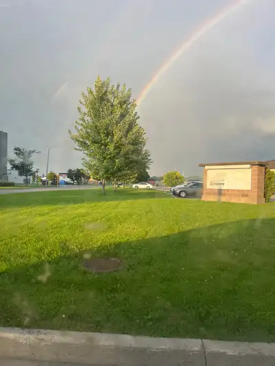 Horse and livestock trailering, View more