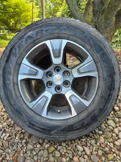 Only ever used in summer. Rims are in great shape. Came from a 2016 Colorado.