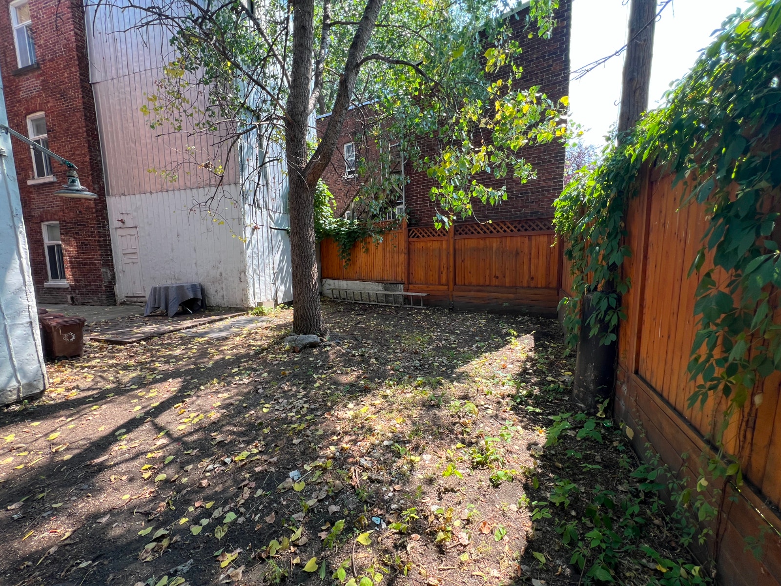 1 bedroom, 4 minutes walk from metro, backyard, pets ok — photo 1