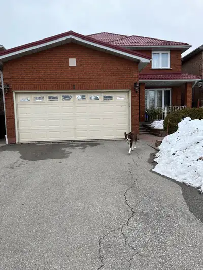 Basement Apartment for Rent Humberwood and Rexdale