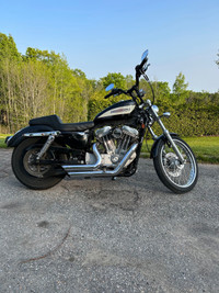 2007 Harley Davidson 883 sportster 