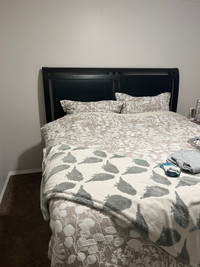 King size bed and frame 
