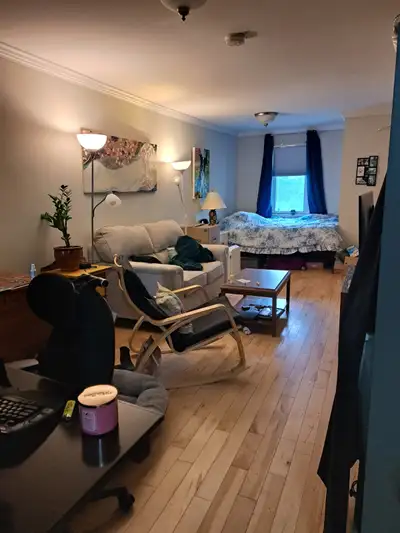 Available Aug. 1 - Studio with in unit laundry and full basement