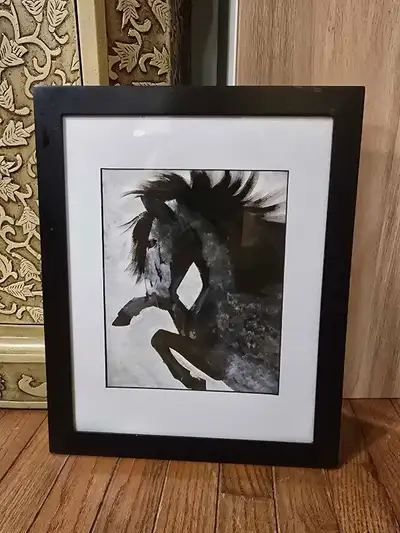 Wild Black Horse Print , View more