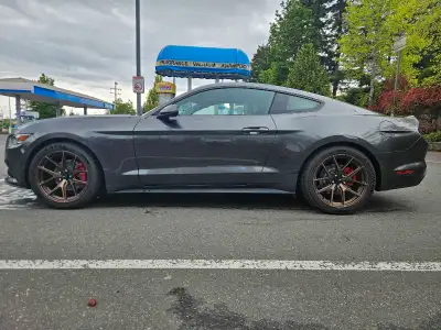 2015 Ford Mustang Ecoboost White cloth interior 6 speed manual transmission Less than 57,000 kilomet...
