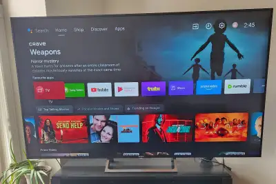 SONY 75" SMART TV, View more