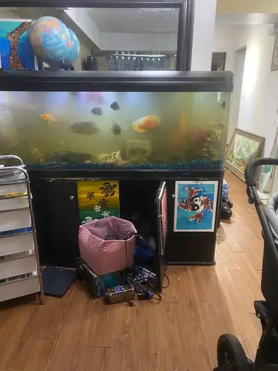 Aquariun for pick up, View more