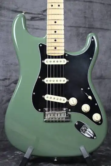 Fender American Professional Stratocaster! It's an excellent guitar for anyone looking to make some...