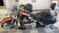 2008 Harley soft tail Anniversary special