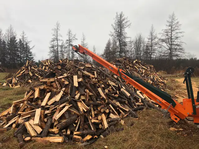 Campfire wood, camping, ignition62864745525761124