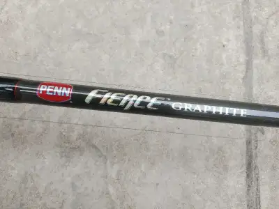 Shimano Triton Fishing Reel & Penn 9' Fierce Graphite Rod, View more