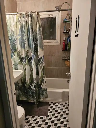 belle chambre à louer