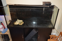 50 GALLON FISH TANK WITH STAND