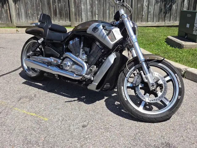 2009 Harley Davidson VRod Muscle in Street, Cruisers & Choppers in Oshawa / Durham Region - Image 8