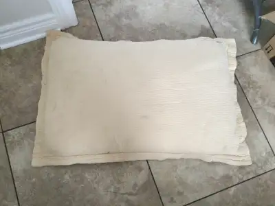 PILLOW WITH PILLOW CASE