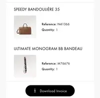 Louis Vuitton Speedy 35 Bandouliere - Ebene 