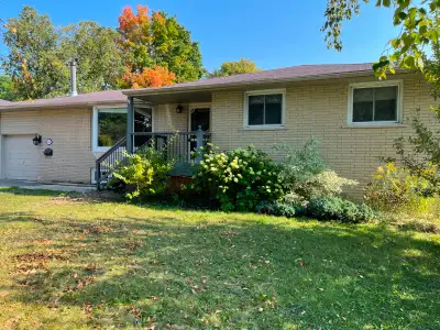 MASSIVE NEWMARKET BASEMENT - 3 BEDS, LIVING ROOM, FAMILY ROOM, FULL KITCHEN, 3 FREE PARKING SPOTS -...
