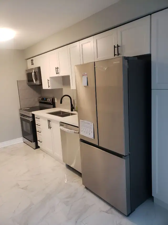 KITCHEN RENOVATION64656289311489124