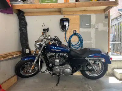 This incredible Harley-Davidson Sportster (2015) is practically brand new with only 541 km on the od...