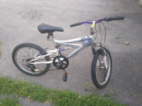 20" tire DS MTN bike youth