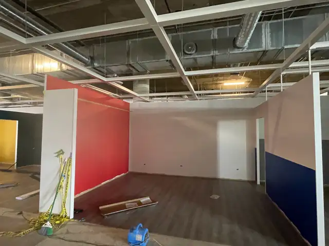 professional painter65561328280961124