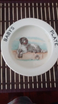 Baby's Plate