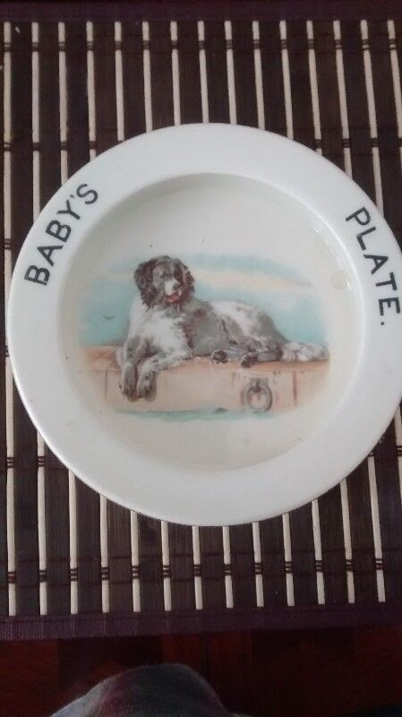 Baby's Plate in Arts & Collectibles in Muskoka