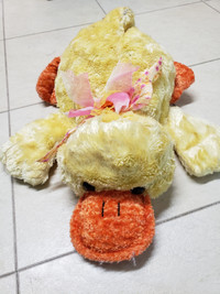 Free stuffed duck