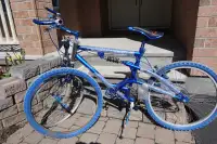 24“ Youth Bike (needs repair)