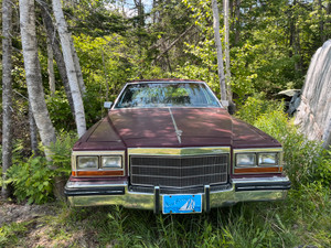 1982 Cadillac Deville