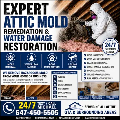 Expert Attic Mold Remediation & Water Damage Restoration Mold Removal • Water Damage • Roof Leak Rep...