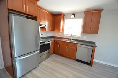 Large renovated 1-bedroom - July - 25 Ottawa
