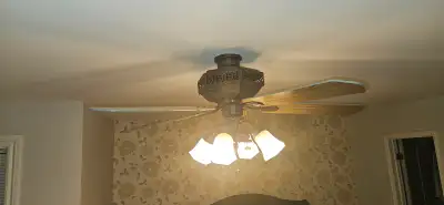 Ceiling Light and Fan, View more