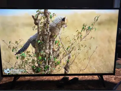 LG 43” LED Full HDTV + Amazon FireTV Stick = Smart TV, Remote, View more