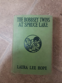 The Bobbsey Twins at Spruce Lake book