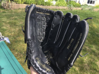 Rawlings Baseball Gold Glove and Heart of the Hide Series