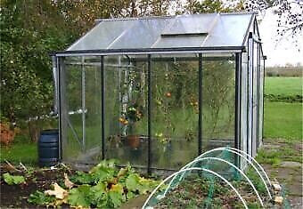 Greenhouse wanted! in Plants, Fertilizer & Soil in Oshawa / Durham Region - Image 2