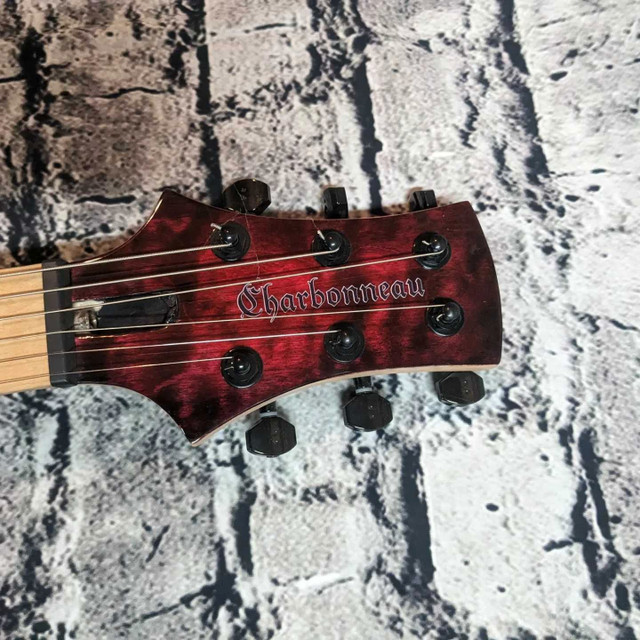 Stellar-6S Deluxe series Charbonneau NEW dans Guitares  à Ouest de l’Île - Image 2